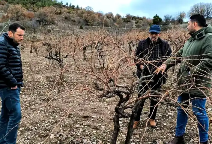 Emet'te Pekmez Üretimi İncelendi